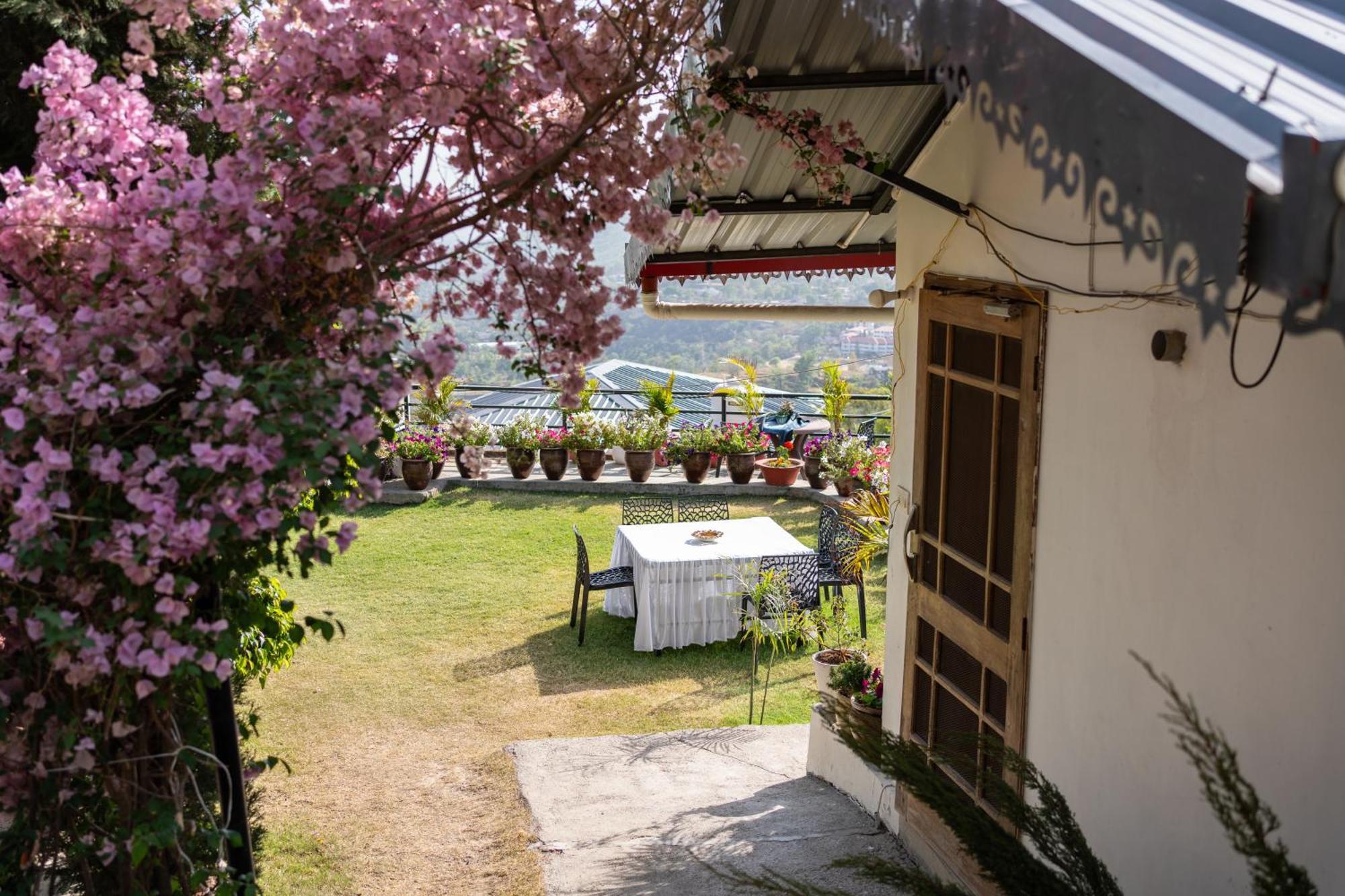 The Bougainvillea Retreat - A Luxury Private Pool Villa In Dehradun Bagian luar foto